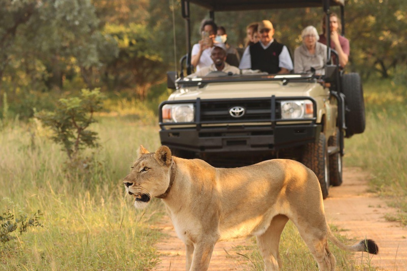 Honeyguide Ranger Camp thumbnail 25